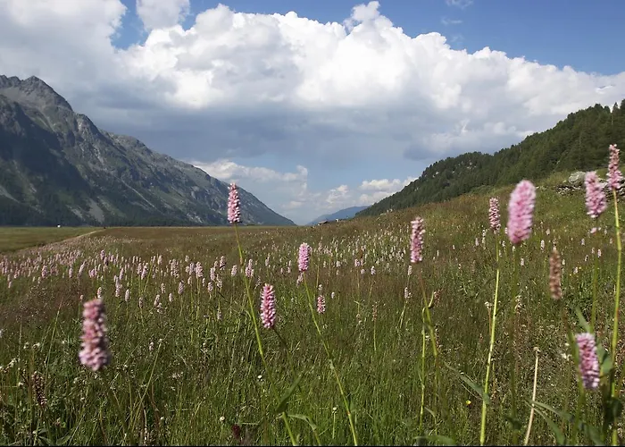 Maria Hotel Sils Maria
